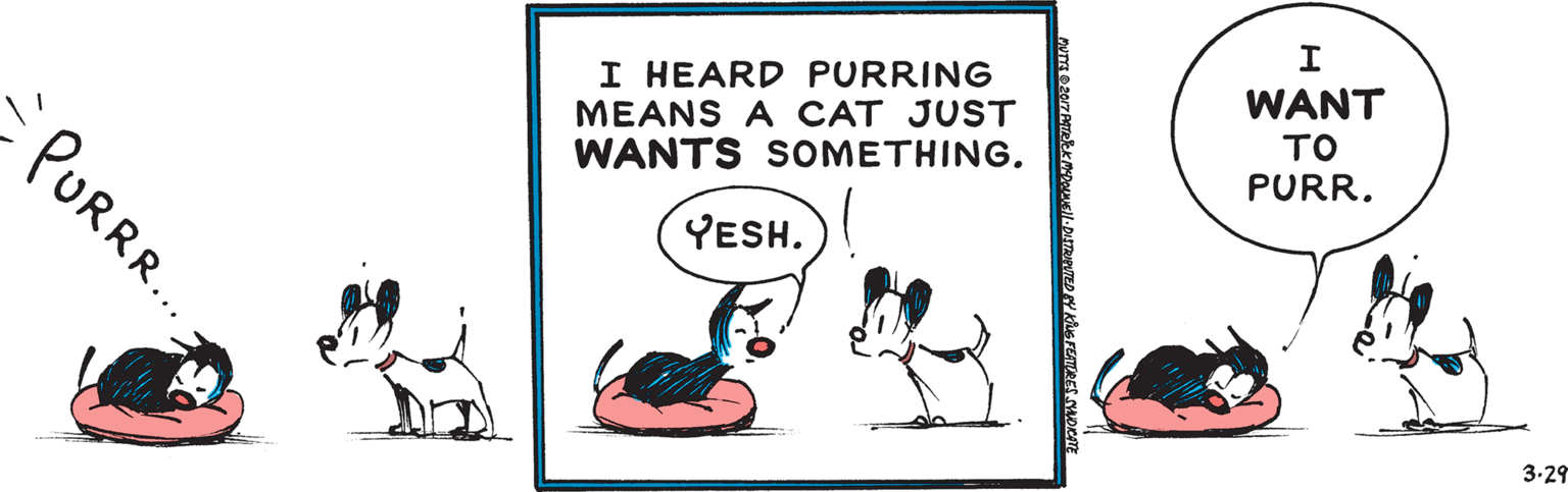 Sharing OCR: I HEARD PURRING MEANS A CAT JUST WANTS SOMETHING. WANT TO -PURR.. PURR. YESH. 3.29 I HEARD PURRING MEANS A CAT JUST WANTS SOMETHING. WANT TO -PURR.. PURR. YESH. 3.29