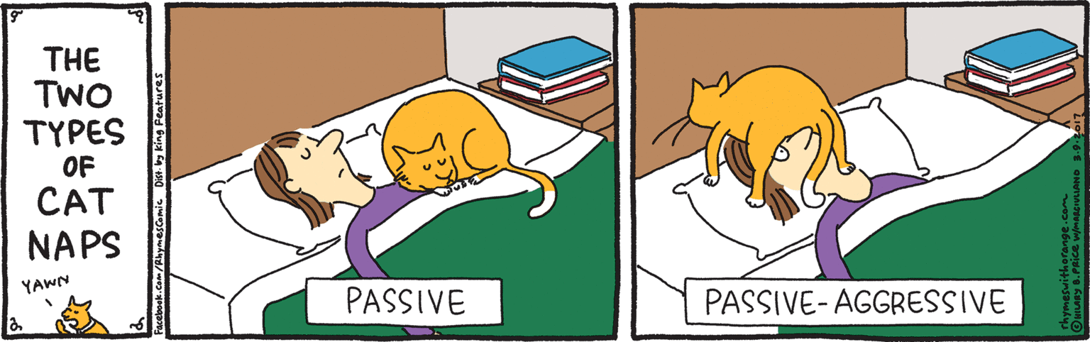 Graphics OCR: THE TWO TYPES OF CAT NAPS YAWN PASSIVE PASSIVE- AGGRESSIVE Cam/RhymesComic Dist. y king Features THE TWO TYPES OF CAT NAPS YAWN PASSIVE PASSIVE- AGGRESSIVE Cam/RhymesComic Dist. y king Features