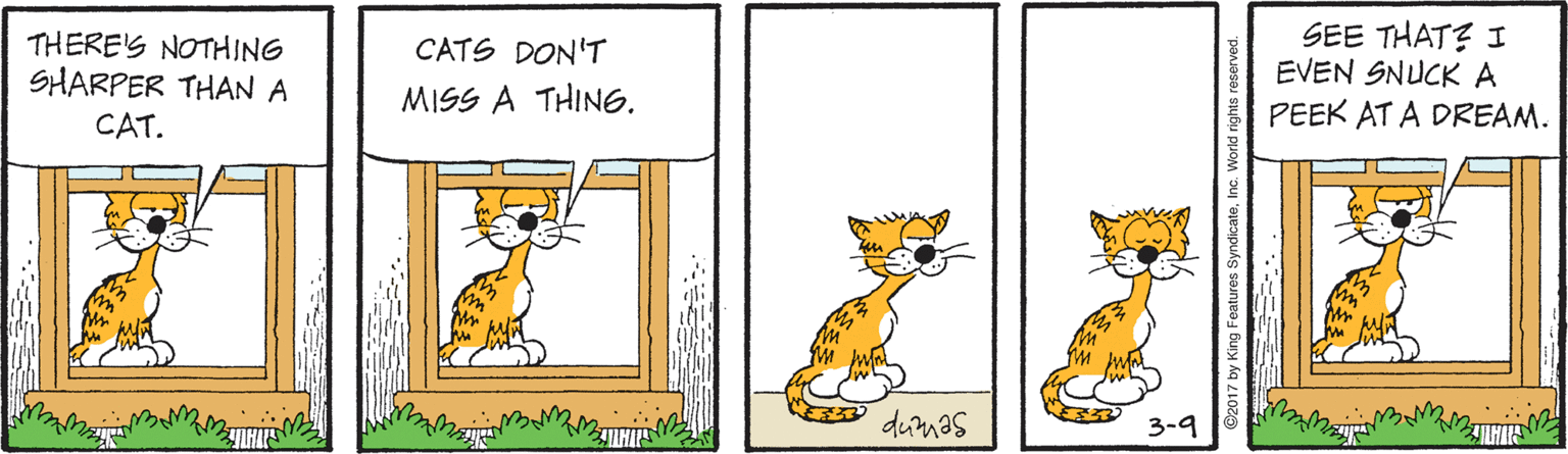 Carnivore OCR: THERE'S NOTHING SHARPER THAN A SEE THAT? I EVEN SNUCK A CATS DON'T MISS A THING. CAT. PEEK AT A DREAM. dumas 3-9 ???? THERE'S NOTHING SHARPER THAN A SEE THAT? I EVEN SNUCK A CATS DON'T MISS A THING. CAT. PEEK AT A DREAM. dumas 3-9 ????