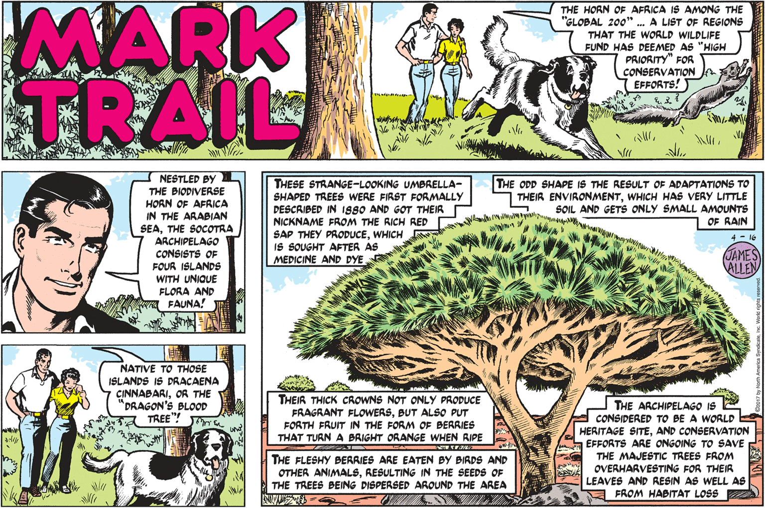 Botany OCR: MARK TRAIL THE HORN OF AFRICA IS AMONG THE "GLOBAL 200" .. A LIST OF REGIONS THAT THE WORLD WILDLIFE FUND HAS DEEMED AS "HIGH PRIORITY" FOR CONSERVATION EFFORTS! NESTLED BY THE BIODIVERSE HORN OF AFRICA IN THE ARABIAN SEATHE SOCOTRA ARCHIPELAGO CONSISTS OF THESE STRANGE-LOOKING UMBRELLA- SHAPED TREES WERE FIRST FORMALLY DESCRIBED IN 1880 AND GOT THEIR NICKNAME FROM THE RICH RED THE ODD SHAPE IS THE RESULT OF ADAPTATIONS TO THEIR ENVIRONMENTWHICH HAS VERY LITTLE SOIL AND GETS ONLY SMALL AMOUNTS OF RAIN SAP THEY PRODUCEWHICH IS SOUGHT AFTER AS MEDICINE AND DYE. 4 - 16 JAMES ALLEN FOUR ISLANDS WITH UNIQUE FLORA AND FAUNA! NATIVE TO THOSE ISLANDS IS DRACAENA CINNABARIOR THE DRAGON'S BLOOD TREE"! THEIR THICK CROWNS NOT ONLY PRODUCE FRAGRANT FLOWERSBUT ALSO PUT FORTH FRUIT IN THE FORM OF BERRIES THAT TURN A BRIGHT ORANGE WHEN RIPE THE ARCHIPELAGO IS CONSIDERED TO BE A WORLD HERITAGE SITEAND CONSERVATION EFFORTS ARE ONGOING TO SAVE THE MAJESTIC TREES FROM THE FLESHY BERRIES ARE EATEN BY BIRDS AND OTHER ANIMALSRESULTING IN THE SEEDS OF THE TREES BEING DISPERSED AROUND THE AREA OVERHARVESTING FOR THEIR LEAVES AND RESIN AS WELL AS FROM HABITAT LOSS MARK TRAIL THE HORN OF AFRICA IS AMONG THE "GLOBAL 200" .. A LIST OF REGIONS THAT THE WORLD WILDLIFE FUND HAS DEEMED AS "HIGH PRIORITY" FOR CONSERVATION EFFORTS! NESTLED BY THE BIODIVERSE HORN OF AFRICA IN THE ARABIAN SEATHE SOCOTRA ARCHIPELAGO CONSISTS OF THESE STRANGE-LOOKING UMBRELLA- SHAPED TREES WERE FIRST FORMALLY DESCRIBED IN 1880 AND GOT THEIR NICKNAME FROM THE RICH RED THE ODD SHAPE IS THE RESULT OF ADAPTATIONS TO THEIR ENVIRONMENTWHICH HAS VERY LITTLE SOIL AND GETS ONLY SMALL AMOUNTS OF RAIN SAP THEY PRODUCEWHICH IS SOUGHT AFTER AS MEDICINE AND DYE. 4 - 16 JAMES ALLEN FOUR ISLANDS WITH UNIQUE FLORA AND FAUNA! NATIVE TO THOSE ISLANDS IS DRACAENA CINNABARIOR THE DRAGON'S BLOOD TREE"! THEIR THICK CROWNS NOT ONLY PRODUCE FRAGRANT FLOWERSBUT ALSO PUT FORTH FRUIT IN THE FORM OF BERRIES THAT TURN A BRIGHT ORANGE WHEN RIPE THE ARCHIPELAGO IS CONSIDERED TO BE A WORLD HERITAGE SITEAND CONSERVATION EFFORTS ARE ONGOING TO SAVE THE MAJESTIC TREES FROM THE FLESHY BERRIES ARE EATEN BY BIRDS AND OTHER ANIMALSRESULTING IN THE SEEDS OF THE TREES BEING DISPERSED AROUND THE AREA OVERHARVESTING FOR THEIR LEAVES AND RESIN AS WELL AS FROM HABITAT LOSS
