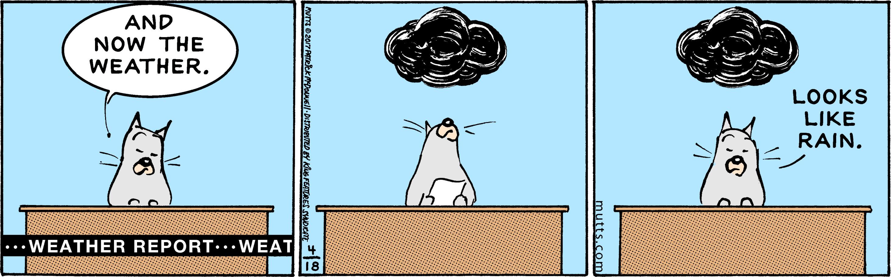 Illustration OCR: AND NOW THE WEATHER. LOOKS LIKE RAIN. ... WEATHER REPORT. WEAT4 18 mutts.com AND NOW THE WEATHER. LOOKS LIKE RAIN. ... WEATHER REPORT. WEAT4 18 mutts.com