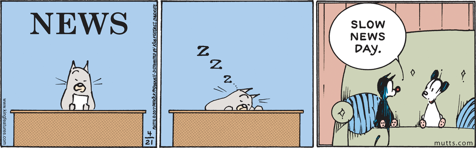 Cat OCR: NEWS SLOW NEWS DAY. mutts.com NEWS SLOW NEWS DAY. mutts.com
