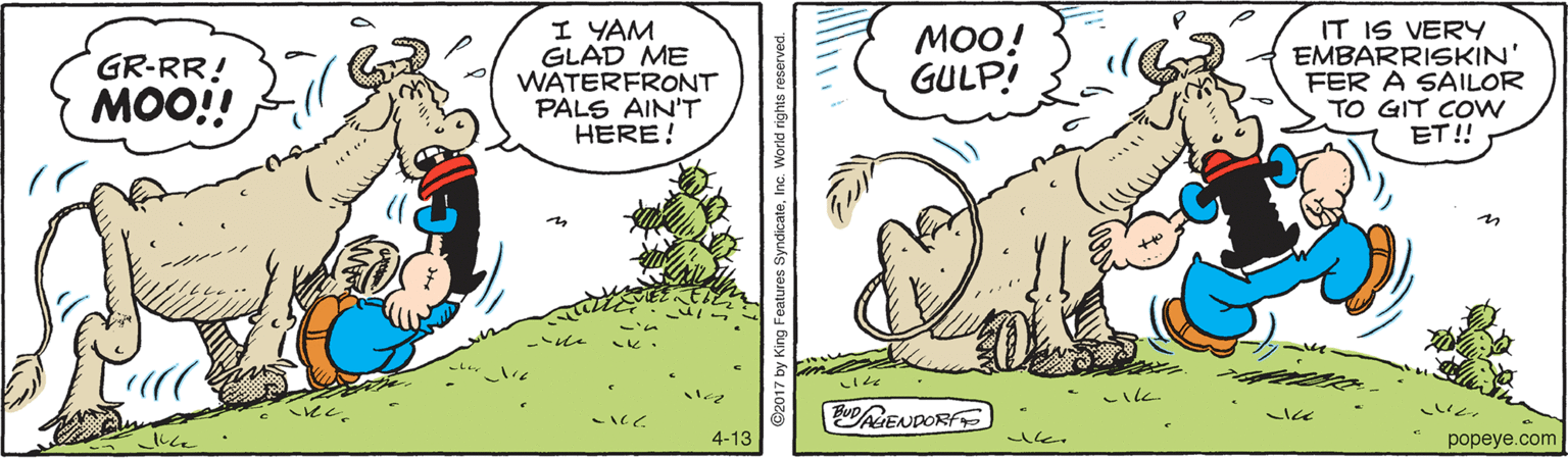 Terrestrial animal OCR: I YAM GLAD ME WATERFRONT PALS AIN'T HERE! MOO! GULP! IT IS VERY EMBARRISKIN' FER A SAILOR TO GIT COW ET!! GR-RR! MOO!! ?e? ERENDORF ?? 4-13 popeye.com I YAM GLAD ME WATERFRONT PALS AIN'T HERE! MOO! GULP! IT IS VERY EMBARRISKIN' FER A SAILOR TO GIT COW ET!! GR-RR! MOO!! ? e ? ERENDORF ? ? 4-13 popeye.com