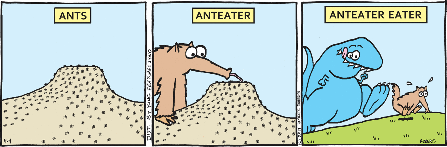 Illustration OCR: ANTS ANTEATER ANTEATER EATER 4-4 ROBERTS ANTS ANTEATER ANTEATER EATER 4-4 ROBERTS