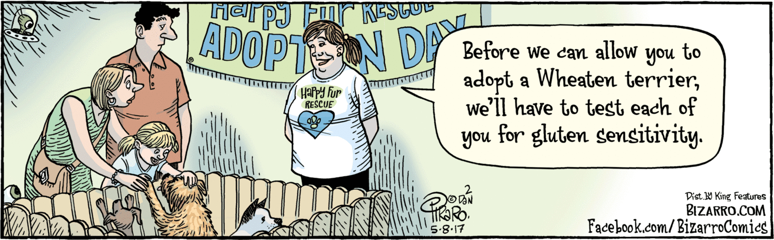 Illustration OCR: BIZARRO.COM Facebook.com/BizarroComics Dist Y King featuras to adopt a Before we can allow you Wheaten terrierwe'll have to test each of you for gluten sensitivity. ON2 ADOPT 5.8.17 Harpy Fur RESCUE BIZARRO.COM Facebook.com/BizarroComics Dist Y King featuras to adopt a Before we can allow you Wheaten terrierwe'll have to test each of you for gluten sensitivity. ON2 ADOPT 5.8.17 Harpy Fur RESCUE