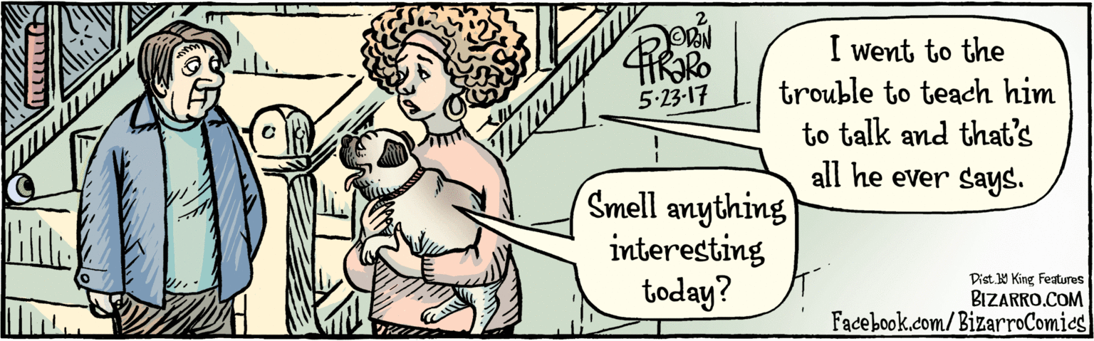 Cartoon OCR: BIZARRO.COM Facebook.com/BizarroComics Dist Y King Featuras Smell anything interesting today? I went to the trouble to teach him to talk and that's all he ever says. 5-23-17 BIZARRO.COM Facebook.com/BizarroComics Dist Y King Featuras Smell anything interesting today? I went to the trouble to teach him to talk and that's all he ever says. 5-23-17