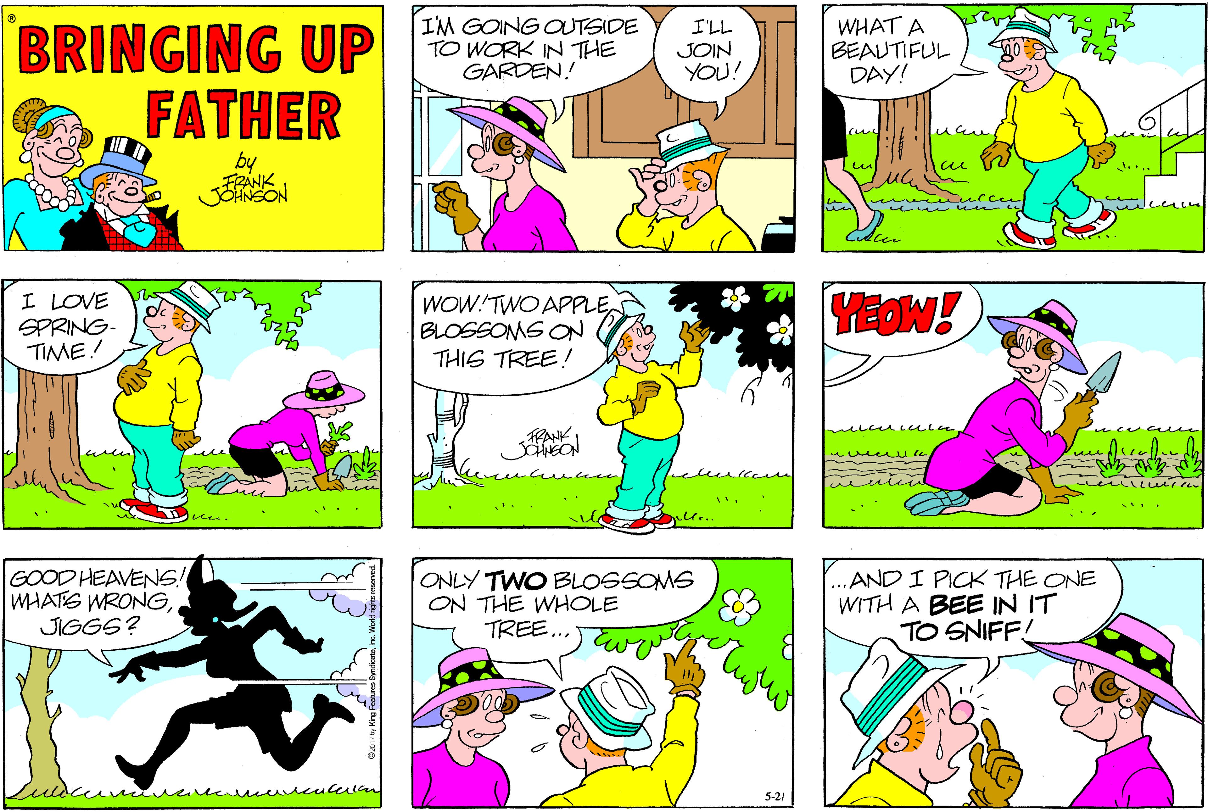 Violet OCR: BRINGING UP FATHER IM GOING OUTSIDE TO WORK IN THE GARDEN! WHAT A BEAUTIFUL DAY! I'LL JOIN YOU! by FRANK JOHNSON ?A I LOVE SPRING- TIME! WOW!TWO APPLEBLOSSOMS ON THIS TREE! YEOW! w uu e GOOD HEAVENS! WHATS WRONGJIGGS? ONLY TWO BLOSSOMS ON THE WHOLE TREE. .AND I PICK THE ONE WITH A BEE IN IT TO SNIFF! ucululon 5-21 BRINGING UP FATHER IM GOING OUTSIDE TO WORK IN THE GARDEN! WHAT A BEAUTIFUL DAY! I'LL JOIN YOU! by FRANK JOHNSON ? A I LOVE SPRING- TIME! WOW!TWO APPLEBLOSSOMS ON THIS TREE! YEOW! w uu e GOOD HEAVENS! WHATS WRONGJIGGS? ONLY TWO BLOSSOMS ON THE WHOLE TREE. .AND I PICK THE ONE WITH A BEE IN IT TO SNIFF! ucululon 5-21