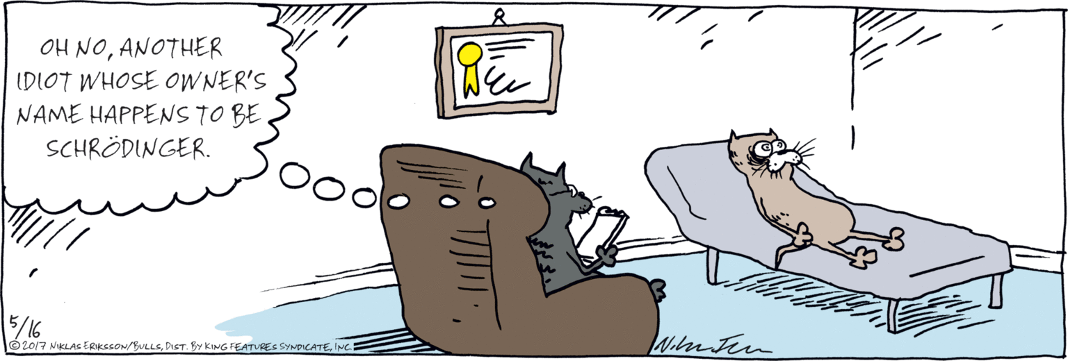 Drawing OCR: OH NOANOTHER IDIOT WHOSE OWNER'S NAME HAPPENS TO BE SCHRÖDINGER. 5/16 © 2017 NIKLAS ERIKSSON/BULLSINC. O o o OH NOANOTHER IDIOT WHOSE OWNER'S NAME HAPPENS TO BE SCHRÖDINGER. 5/16 © 2017 NIKLAS ERIKSSON/BULLSDIST. BY KING FEATURES SYNDICATEINC. O o o
