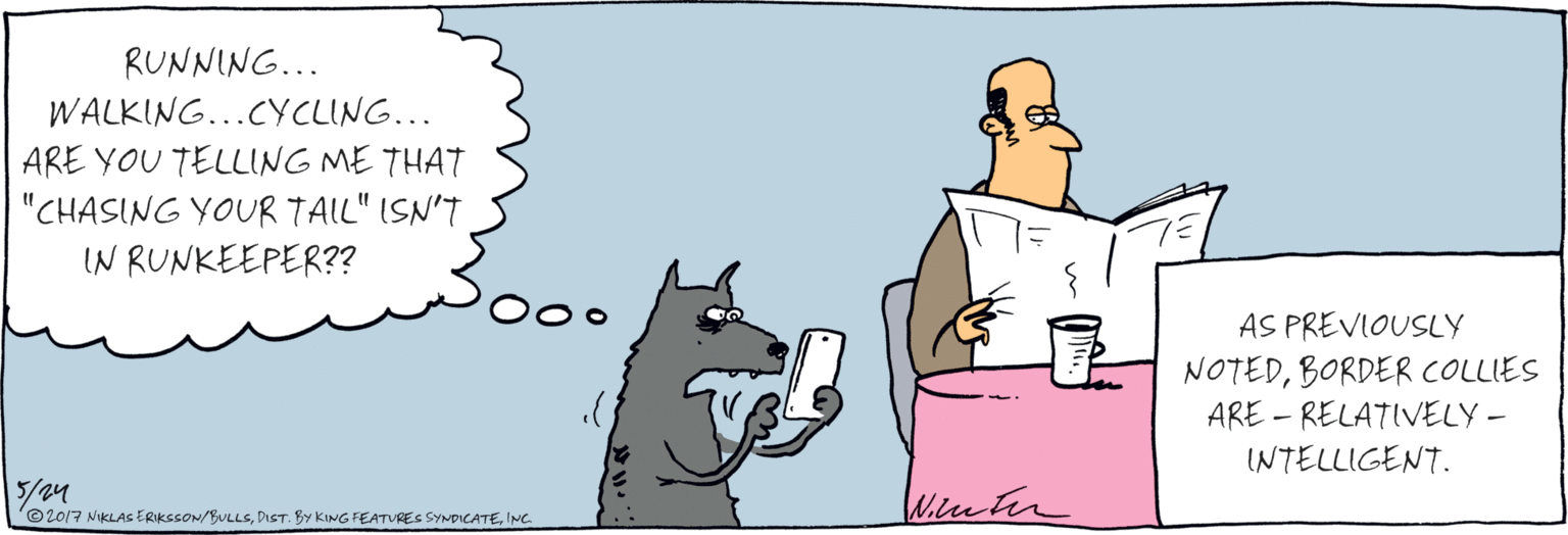 Paper product OCR: RUNNING... WALKING...CYCLING... ARE YOU TELLING ME THAT "CHASING YOUR TAIL" ISN'T IN RUNKEEPER?? Wiereten AS PREVIOUSLY NOTEDBORDER COLLIES ARE - RELATIVELY – INTELLIGENT. ©2017 NIKLAS ERIKSSON/BULLSINC. RUNNING... WALKING...CYCLING... ARE YOU TELLING ME THAT "CHASING YOUR TAIL" ISN'T IN RUNKEEPER?? Wiereten AS PREVIOUSLY NOTEDBORDER COLLIES ARE - RELATIVELY – INTELLIGENT. ©2017 NIKLAS ERIKSSON/BULLSDIST. BY KING FEATURES SYNDICATE
