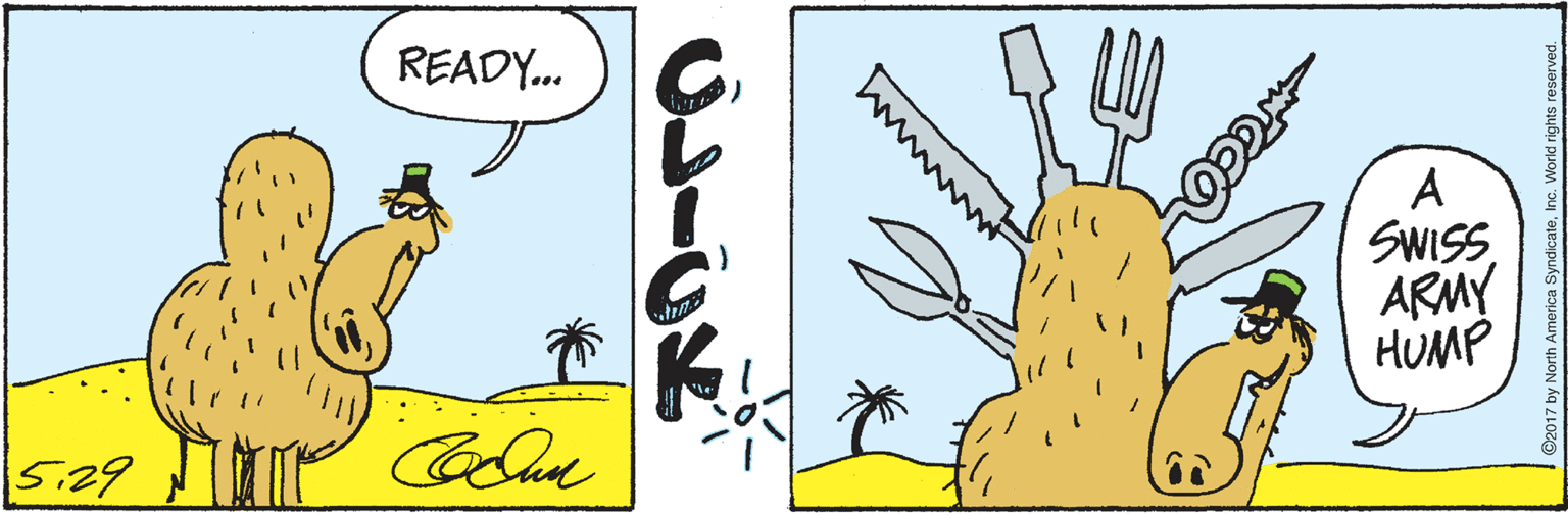 Cactus OCR: READY. A SWIS5:29 READY. A SWIS