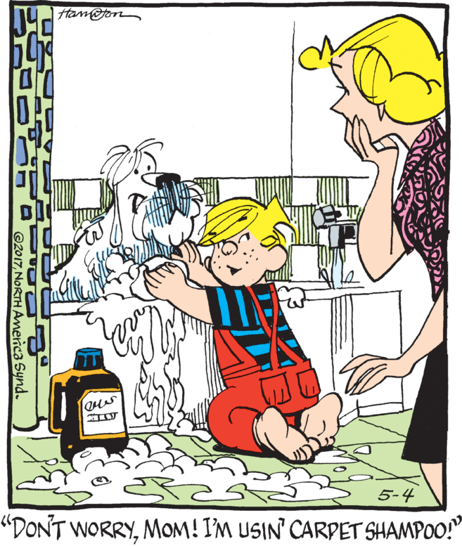 Mammal OCR: Htam@on 5-4 "DONT WORRYMOM! IM USIN' CARPET SHAMPOO!" ©2017NORTH America Synd. Htam@on 5-4 "DONT WORRYMOM! IM USIN' CARPET SHAMPOO!" ©2017NORTH America Synd.