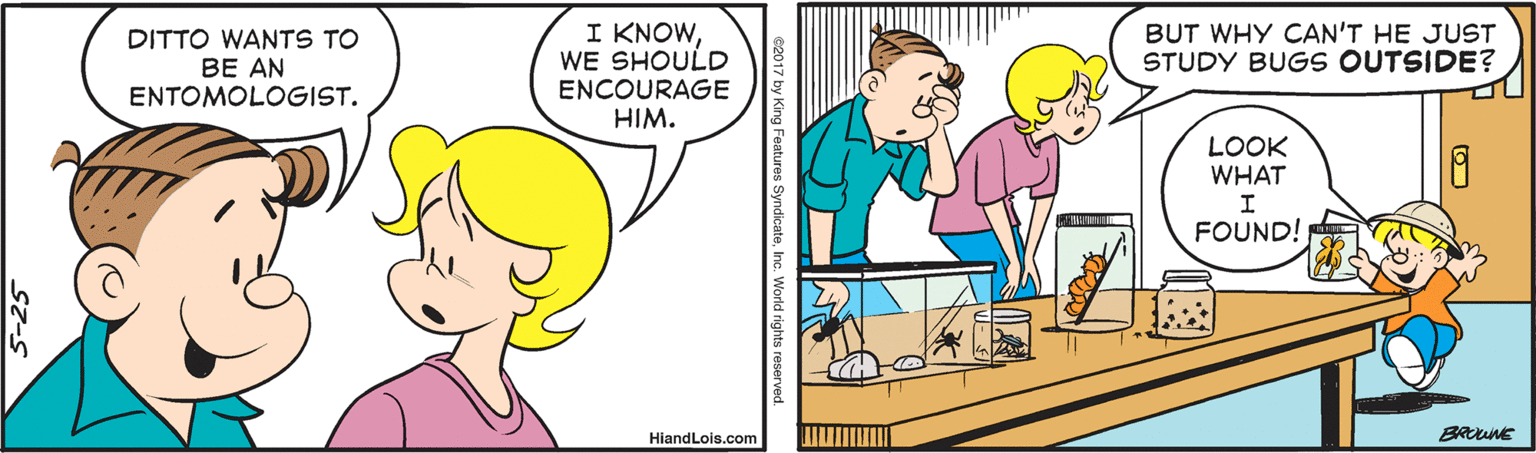 Jaw OCR: DITTO WANTS TO BE AN ENTOMOLOGIST. I KNOWWE SHOULD BUT WHY CAN'T HE JUST STUDY BUGS OUTSIDE? ENCOURAGE HIM. LOOK WHAT FOUND! HiandLois.com DITTO WANTS TO BE AN ENTOMOLOGIST. I KNOWWE SHOULD BUT WHY CAN'T HE JUST STUDY BUGS OUTSIDE? ENCOURAGE HIM. LOOK WHAT FOUND! HiandLois.com