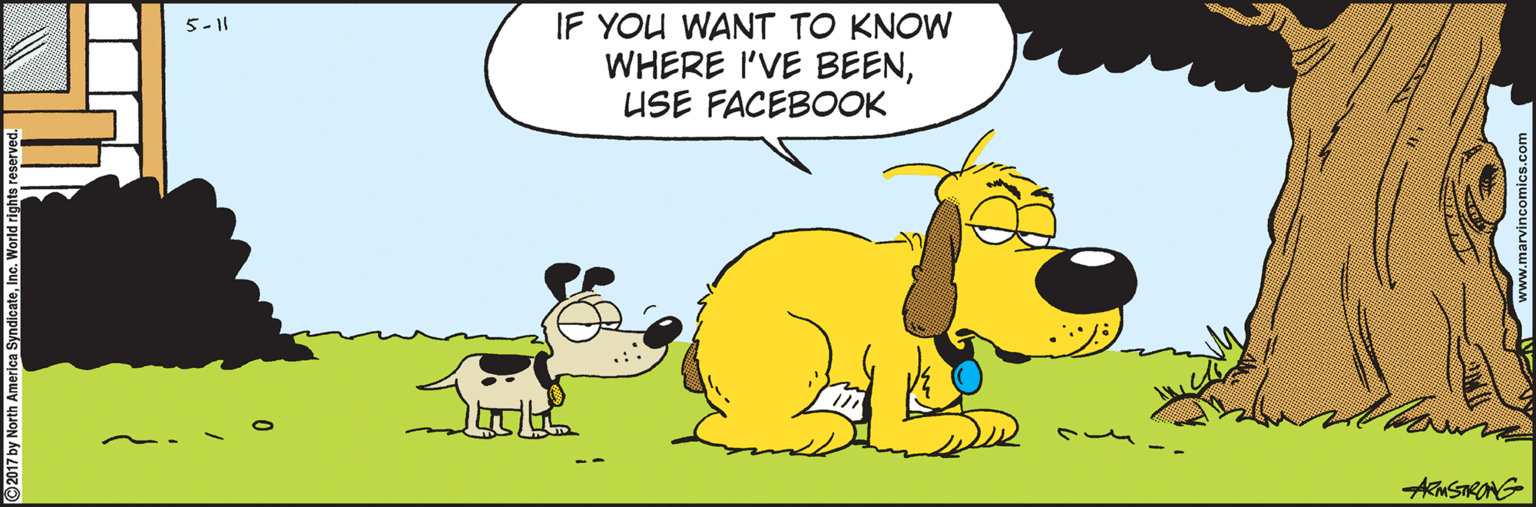 Graphics OCR: IF YOU WANT TO KNOW WHERE I'VE BEENUSE FACEBOOK AMSTIRONG IF YOU WANT TO KNOW WHERE I'VE BEENUSE FACEBOOK AMSTIRONG