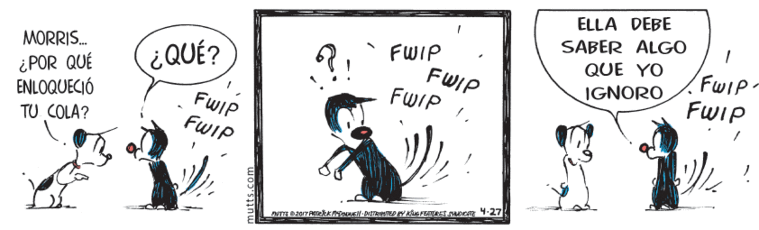 Pleased OCR: ELLA DEBE SABER ALGO QUE YO FWIP FWIP FWIP FWIP. FWIP MORRIS. ¿QUÉ? ¿ POR QUÉ ENLOQUECIÓ IGNORO FWIP FWIP TU COLA? ELLA DEBE SABER ALGO QUE YO FWIP FWIP FWIP FWIP. FWIP MORRIS. ¿QUÉ? ¿ POR QUÉ ENLOQUECIÓ IGNORO FWIP FWIP TU COLA?