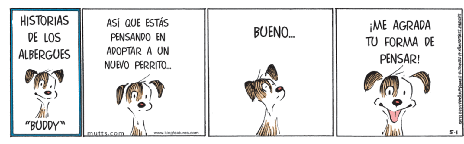 Art OCR: HISTORIAS ASÍ QUE ESTÁS ¡ME AGRADA TU FORMA DE BUENO. DE LOS PENSANDO EN ALBERGUES ADOPTAR A UN PENSAR! NUEVO PERRITO. "BUDDY" mutts.com www.kingfeatures.com HISTORIAS ASÍ QUE ESTÁS ¡ME AGRADA TU FORMA DE BUENO. DE LOS PENSANDO EN ALBERGUES ADOPTAR A UN PENSAR! NUEVO PERRITO. "BUDDY" mutts.com www.kingfeatures.com