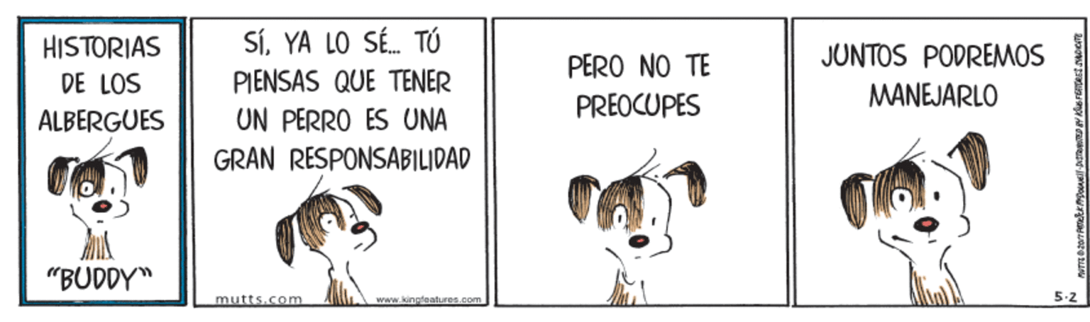 Working animal OCR: HISTORIAS DE LOS SÍYA LO SÉ. TÚ PIENSAS QUE TENER PERO NO TE JUNTOS PODREMOS PREOCUPES MANEJARLO UN PERRO ES UNA GRAN RESPONSABILIDAD ALBERGUES "BUDDY" mutts.com www.kingdeatures.com 5.2 HISTORIAS DE LOS SÍYA LO SÉ. TÚ PIENSAS QUE TENER PERO NO TE JUNTOS PODREMOS PREOCUPES MANEJARLO UN PERRO ES UNA GRAN RESPONSABILIDAD ALBERGUES "BUDDY" mutts.com www.kingdeatures.com 5.2