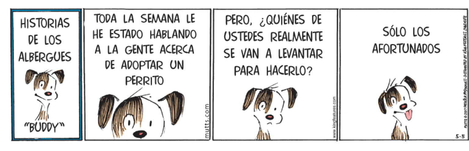 Art OCR: PERO¿QUIÉNES DE USTEDES REALMENTE HISTORIAS TODA LA SEMANA LE SÓLO LOS HE ESTADO HABLANDO A LA GENTE ACERCA DE ADOPTAR UN PERRITO DE LOS ALBERGUES SE VAN A LEVANTAR AFORTUNADOS PARA HACERLO? "BUDDY" 5.5 mutts.com www.kingfeatures.com PERO¿QUIÉNES DE USTEDES REALMENTE HISTORIAS TODA LA SEMANA LE SÓLO LOS HE ESTADO HABLANDO A LA GENTE ACERCA DE ADOPTAR UN PERRITO DE LOS ALBERGUES SE VAN A LEVANTAR AFORTUNADOS PARA HACERLO? "BUDDY" 5.5 mutts.com www.kingfeatures.com