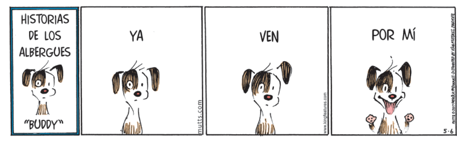 Art OCR: HISTORIAS DE LOS YA VEN POR MÍ ALBERGUES "BUDDY" 5-6 mutts.com HISTORIAS DE LOS YA VEN POR MÍ ALBERGUES "BUDDY" 5-6 mutts.com