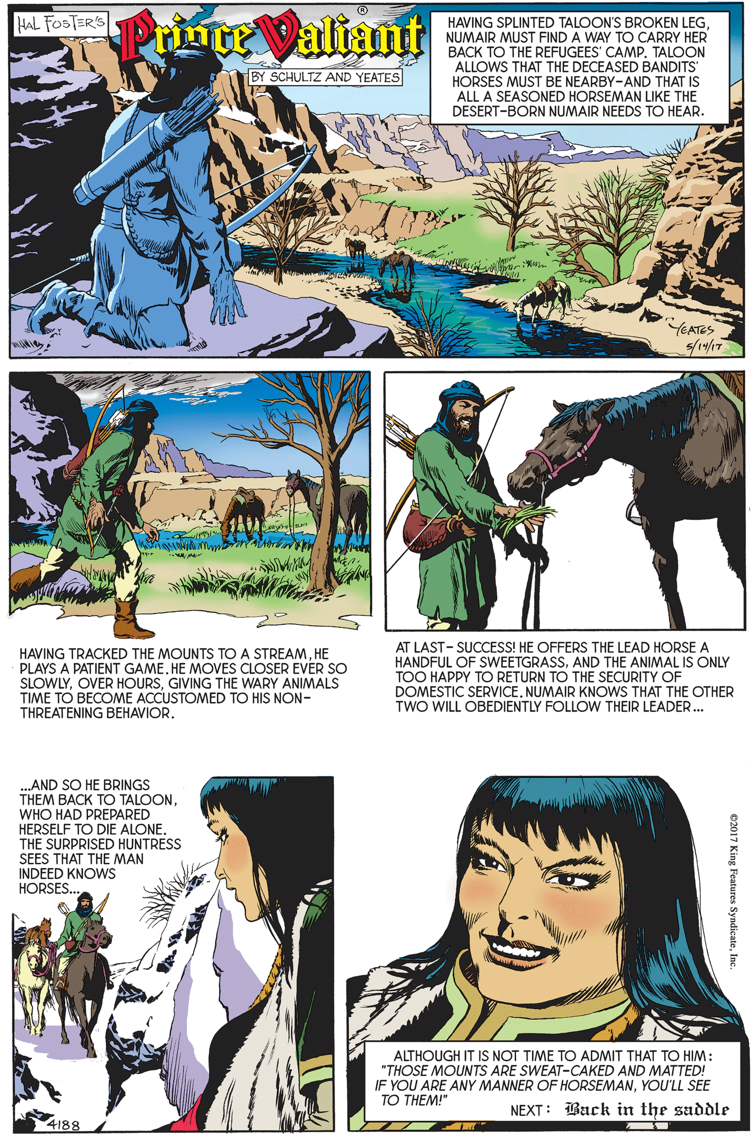 Font OCR: HAL FOSTERS Printe Valiant HAVING SPLINTED TALOON'S BROKEN LEGNUMAIR MUST FIND A WAY TO CARRY HER BACK TO THE REFUGEES' CAMP. TALOON ALLOWS THAT THE DECEASED BANDITS HORSES MUST BE NEARBY-AND THAT IS ALL A SEASONED HORSEMAN LIKE THE DESERT-BORN NUMAIR NEEDS TO HEAR. BY SCHULTZ AND YEATES EATES s/14/17 HAVING TRACKED THE MOUNTS TO A STREAMHE PLAYS A PATIENT GAME. HE MOVES CLOSER EVER SO SLOWLYGIVING THE WARY ANIMALS TIME TO BECOME ACCUSTOMED TO HIS NON- THREATENING BEHAVIOR. AT LAST- SUCCESS! HE OFFERS THE LEAD HORSE A HANDFUL OF SWEETGRASSAND THE ANIMAL IS ONLY TOO HAPPY TO RETURN TO THE SECURITY OF DOMESTIC SERVICE. NUMAIR KNOWS THAT THE OTHER TWO WILL OBEDIENTLY FOLLOW THEIR LEADER... AND SO HE BRINGS THEM BACK TO TALOONWHO HAD PREPARED HERSELF TO DIE ALONETHE SURPRISED HUNTRESS SEES THAT THE MAN INDEED KNOWS HORSES.. ALTHOUGH IT IS NOT TIME TO ADMIT THAT TO HIM: "THOSE MOUNTS ARE SWEAT-CAKED AND MATTED! IF YOU ARE ANY MANNER OF HORSEMANYOU'LL SEE TO THEM!" NEXT: Back in the saddle 4188 e2017 King Features SyndicateInc. HAL FOSTERS Printe Valiant HAVING SPLINTED TALOON'S BROKEN LEGNUMAIR MUST FIND A WAY TO CARRY HER BACK TO THE REFUGEES' CAMP. TALOON ALLOWS THAT THE DECEASED BANDITS HORSES MUST BE NEARBY-AND THAT IS ALL A SEASONED HORSEMAN LIKE THE DESERT-BORN NUMAIR NEEDS TO HEAR. BY SCHULTZ AND YEATES EATES s/14/17 HAVING TRACKED THE MOUNTS TO A STREAMHE PLAYS A PATIENT GAME. HE MOVES CLOSER EVER SO SLOWLYOVER HOURSGIVING THE WARY ANIMALS TIME TO BECOME ACCUSTOMED TO HIS NON- THREATENING BEHAVIOR. AT LAST- SUCCESS! HE OFFERS THE LEAD HORSE A HANDFUL OF SWEETGRASSAND THE ANIMAL IS ONLY TOO HAPPY TO RETURN TO THE SECURITY OF DOMESTIC SERVICE. NUMAIR KNOWS THAT THE OTHER TWO WILL OBEDIENTLY FOLLOW THEIR LEADER... AND SO HE BRINGS THEM BACK TO TALOONWHO HAD PREPARED HERSELF TO DIE ALONETHE SURPRISED HUNTRESS SEES THAT THE MAN INDEED KNOWS HORSES.. ALTHOUGH IT IS NOT TIME TO ADMIT THAT TO HIM: "THOSE MOUNTS ARE SWEAT-CAKED AND MATTED! IF YOU ARE ANY MANNER OF HORSEMANYOU'LL SEE TO THEM!" NEXT: Back in the saddle 4188 e2017 King Features Syndicate