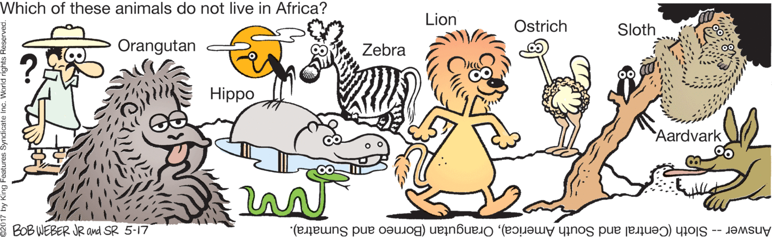 Drawing OCR: Which of these animals do not live in Africa? Lion Ostrich Sloth Orangutan Zebra Hippo Aardvark BOB WEBER JR and SR 5-17 Answer -- Sloth (Central and South America)Orangutan (Borneo and Sumatra). Which of these animals do not live in Africa? Lion Ostrich Sloth Orangutan Zebra Hippo Aardvark BOB WEBER JR and SR 5-17 Answer -- Sloth (Central and South America)Orangutan (Borneo and Sumatra).