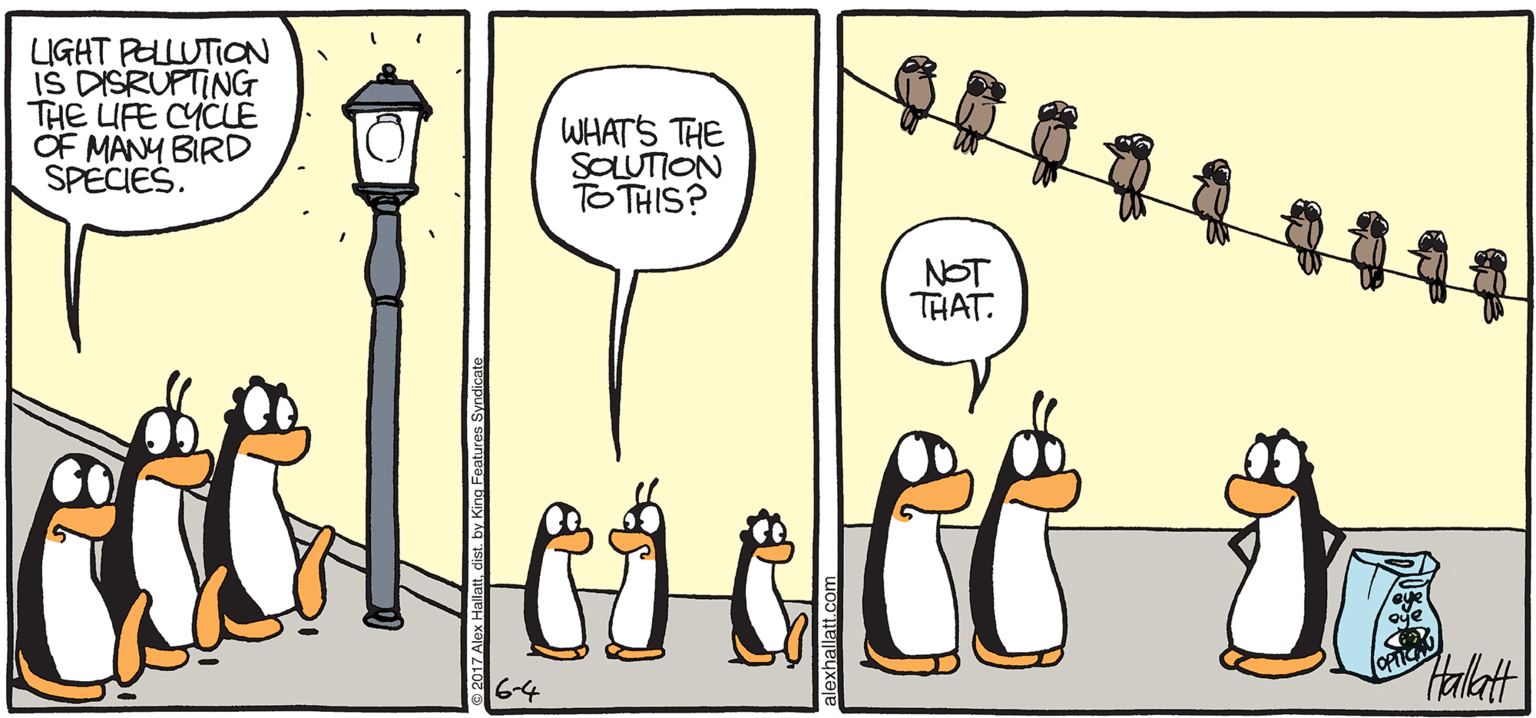 Animated cartoon OCR: ARGTIC GROLE LIGHT PELLUTICN IS DISRUPTING THE UFE CYCLE OF MÄNM BIRD SPECIES. WHATS THE SLUTION TO THIS? 444 NOT THAT. Haklat BY ALEX HALLATT ARGTIC GROLE LIGHT PELLUTICN IS DISRUPTING THE UFE CYCLE OF MÄNM BIRD SPECIES. WHATS THE SLUTION TO THIS? 444 NOT THAT. Haklat BY ALEX HALLATT