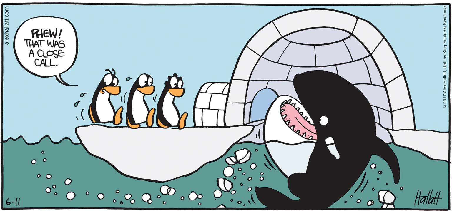 Drawing OCR: ARCTIC GRds RIEW! THAT WAS A CLOSE CALL: 6-1 Halat B4 ALEX HALLATT ARCTIC GRds RIEW! THAT WAS A CLOSE CALL: 6-1 Halat B4 ALEX HALLATT