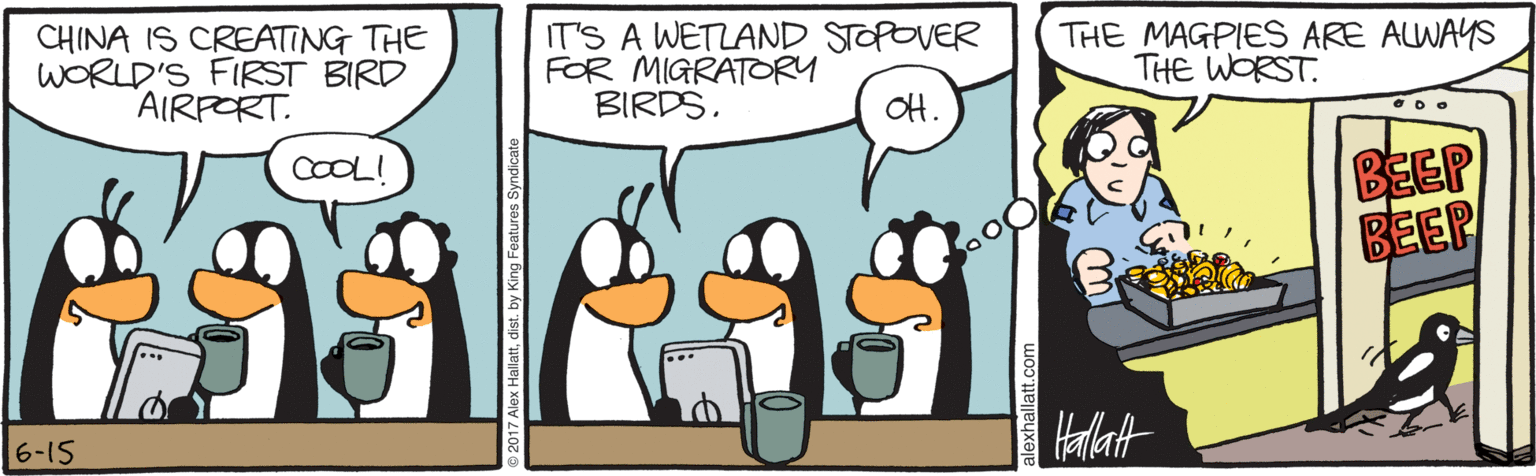 Fiction OCR: CHINA IS CREATING THE WORLD'S FIRST BIRD AIRPORT. IT'S A WETLAND STOPOVER FOR MIGRATORY BIRDS. THE MAGPIES ARE ALWAYS THE WORST. ?. BEEP BEER COOL! Halat 6-15 CHINA IS CREATING THE WORLD'S FIRST BIRD AIRPORT. IT'S A WETLAND STOPOVER FOR MIGRATORY BIRDS. THE MAGPIES ARE ALWAYS THE WORST. ? . BEEP BEER COOL! Halat 6-15