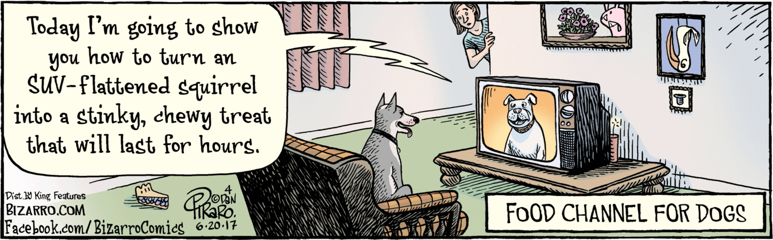 Dog OCR: BIZARRO.COM Facebook.com/BizarroComics Dist Y King featuras Today I'm going to show you how to turn an SUV-flattened squirrel into a stinkychewy treat that will last for hours. iRaRo. 6.20.17 FOOD CHANNEL FOR DOGS BIZARRO.COM Facebook.com/BizarroComics Dist Y King featuras Today I'm going to show you how to turn an SUV-flattened squirrel into a stinkychewy treat that will last for hours. iRaRo. 6.20.17 FOOD CHANNEL FOR DOGS