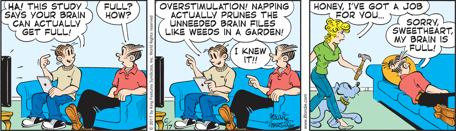Humour OCR: HA! THIS STUDY SAYS YOUR BRAIN CAN ACTUALLY GET FULL! HONEYI'VE GOT A JOB FOR YOU. OVERSTIMULATION! NAPPING ACTUALLY PRUNES THE UNNEEDED BRAIN FILES LIKE WEEDS IN A GARDEN! FULL? HOW? SORRYMY BRAIN IS FULL! I KNEW IT! MARSHAL O 2017 by King Features SyndicateInc. Wo HA! THIS STUDY SAYS YOUR BRAIN CAN ACTUALLY GET FULL! HONEYI'VE GOT A JOB FOR YOU. OVERSTIMULATION! NAPPING ACTUALLY PRUNES THE UNNEEDED BRAIN FILES LIKE WEEDS IN A GARDEN! FULL? HOW? SORRYMY BRAIN IS FULL! I KNEW IT! MARSHAL O 2017 by King Features SyndicateInc. Wo