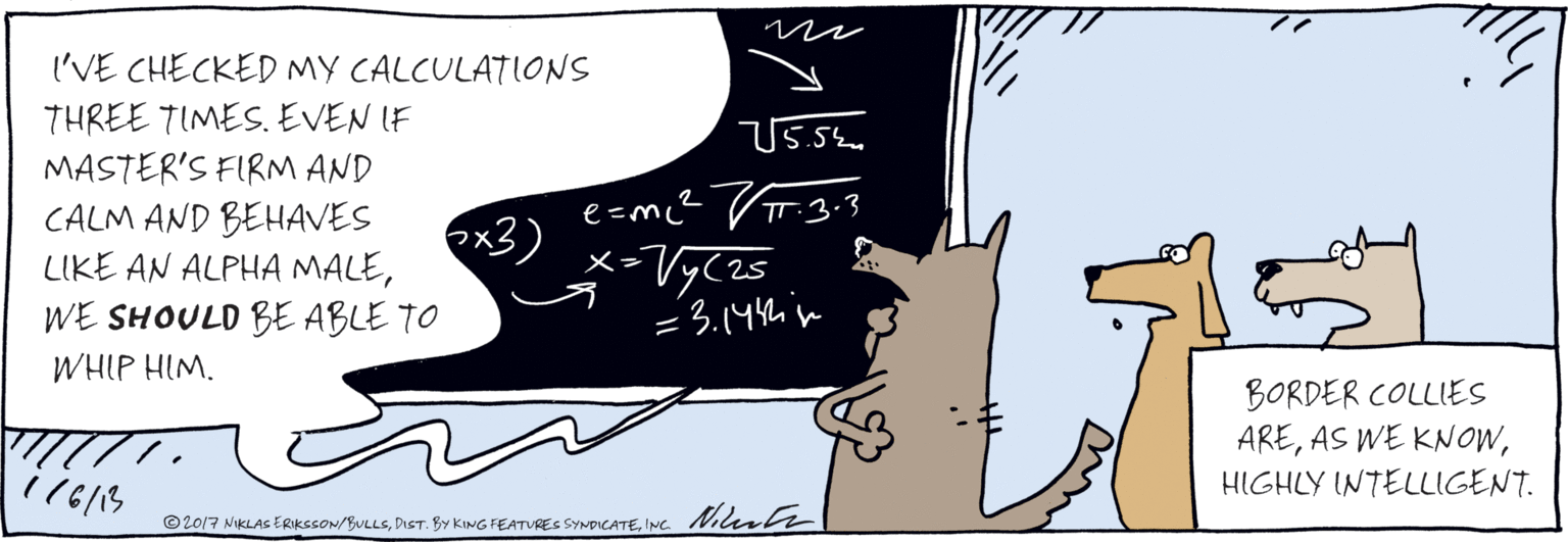 Photo caption OCR: I'VE CHECKED MY CALCULATIONS THREE TIMES. EVEN IF MASTER'S FIRM AND CALM AND BEHAVES LIKE AN ALPHA MALEWE SHOULD BE ABLE TO WHIP HIM. (2??2 33 Truen e=mc² (TT:3.3 3) x-Vy(25 X= = 3.144h in Nicatre 6/13 BORDER COLLIES AREHIGHLY INTELLIGENT. © 2017 NiKLASs ERIKSSON/BULLSINC I'VE CHECKED MY CALCULATIONS THREE TIMES. EVEN IF MASTER'S FIRM AND CALM AND BEHAVES LIKE AN ALPHA MALEWE SHOULD BE ABLE TO WHIP HIM. ( 2 ?? 2 33 Truen e=mc² (TT:3.3 3) x-Vy(25 X= = 3.144h in Nicatre 6/13 BORDER COLLIES AREAS WE KNOWHIGHLY INTELLIGENT. © 2017 NiKLASs ERIKSSON/BULLSDIST. BY KING FEATURES SYNPICATE