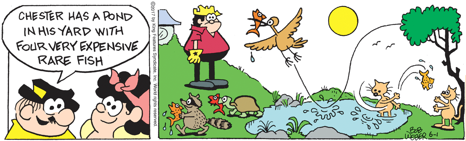 Illustration OCR: CHESTER HAS A POND IN HIS YARD WITH FOUR VERY EXPENSIVE RARE FISH BOB WEBER 6-1 ©2017 by King Features SyndicateInc. World rights reserve CHESTER HAS A POND IN HIS YARD WITH FOUR VERY EXPENSIVE RARE FISH BOB WEBER 6-1 ©2017 by King Features SyndicateInc. World rights reserve