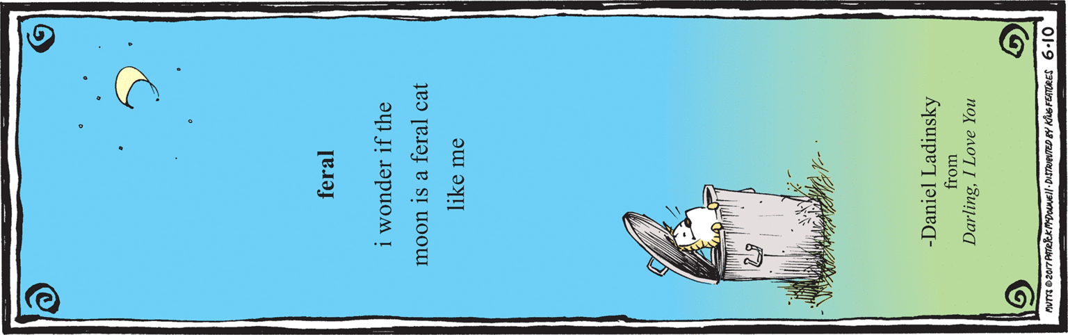 Illustration OCR: feral i wonder if the moon is a feral cat like me -Daniel Ladinsky from DarlingI Love You feral i wonder if the moon is a feral cat like me -Daniel Ladinsky from DarlingI Love You