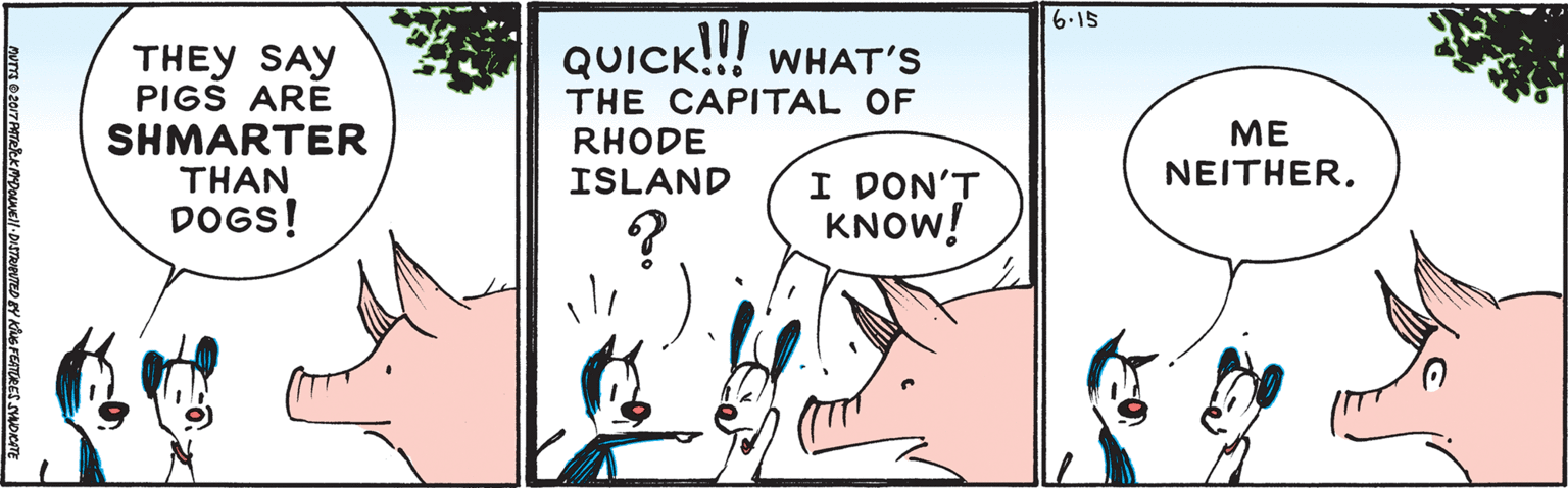 Happy OCR: 6.15 QUICK!!! THEY SAY PIGS ARE SHMARTER THAN DOGS! WHAT'S THE CAPITAL OF RHODE ISLAND ?? ????HER. I DON'T KNOW! 6.15 QUICK!!! THEY SAY PIGS ARE SHMARTER THAN DOGS! WHAT'S THE CAPITAL OF RHODE ISLAND ?? ????HER. I DON'T KNOW!