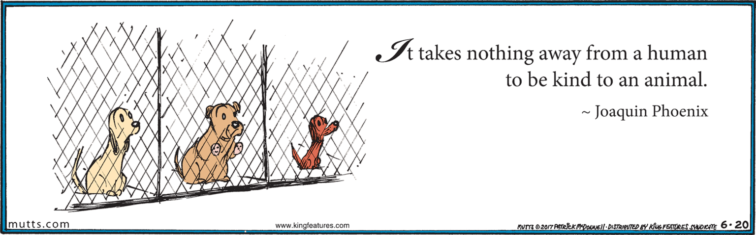 Parallel OCR: It takes nothing away from a human to be kind to an animal. - Joaquin Phoenix mutts.com www.kingfeatures.com nuT 02017 ATeKANDOEll-DISTRNTED Y KFERES sHocm 6. 20 It takes nothing away from a human to be kind to an animal. - Joaquin Phoenix mutts.com www.kingfeatures.com nuT 02017 ATeKANDOEll-DISTRNTED Y KFERES sHocm 6. 20