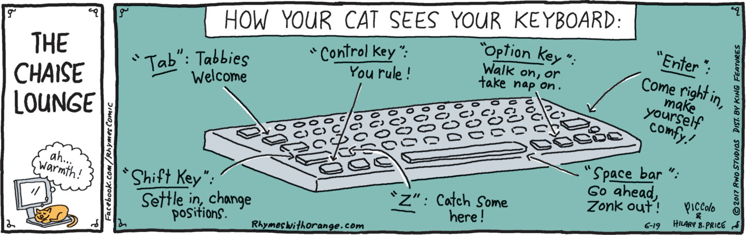 Office equipment OCR: HOW YOUR CAT SEES YOUR KEYBOARD: "Option key ": Walk onor take nap on. "Enter ": * Control key ": You rule ! THE CHAISE LOUNGE Tab": Tabbies Welcome Come right inmake yourself Ccomfy! ah... warmth! Space bar ": Go aheadZonk out! Shift Key": *Z": Catch Some here ! piccolo Settle inchange positions. HILARY 8. PRICE 6-19 Rhymes withorange.com Facebook.com/RAymer HOW YOUR CAT SEES YOUR KEYBOARD: "Option key ": Walk onor take nap on. "Enter ": * Control key ": You rule ! THE CHAISE LOUNGE Tab": Tabbies Welcome Come right inmake yourself Ccomfy! ah... warmth! Space bar ": Go aheadZonk out! Shift Key": *Z": Catch Some here ! piccolo Settle inchange positions. HILARY 8. PRICE 6-19 Rhymes withorange.com Facebook.com/RAymer