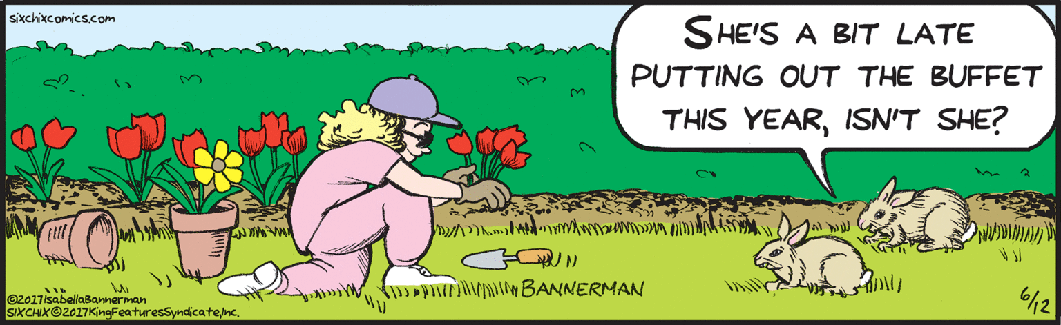 Drawing OCR: sixchixcomics.com SHE'S A BIT LATE PUTTING OUT THE BUFFET THIS YEAR3. ISN'T SHE? INM ©2017IsabellaBannerman SIXCHIXO2017KingFeaturesSyndicate/nc. BANNERMAN /2 sixchixcomics.com SHE'S A BIT LATE PUTTING OUT THE BUFFET THIS YEAR3. ISN'T SHE? INM ©2017IsabellaBannerman SIXCHIXO2017KingFeaturesSyndicate/nc. BANNERMAN /2