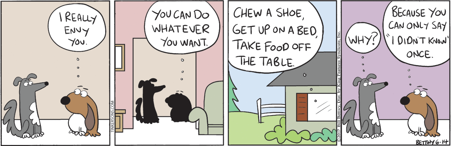 Humour OCR: YOU CAN DO WHATEVER You WANT. CHEW A SHOETAKE FOOD OFE THE TABLE BECAUSE YOU CAN ONLY SAY WHY? KNOW I REALLY ENvy ONCE. BETTWY 6-14 YOU CAN DO WHATEVER You WANT. CHEW A SHOEGET UP ON A BEDTAKE FOOD OFE THE TABLE BECAUSE YOU CAN ONLY SAY WHY? KNOW I REALLY ENvy ONCE. BETTWY 6-14