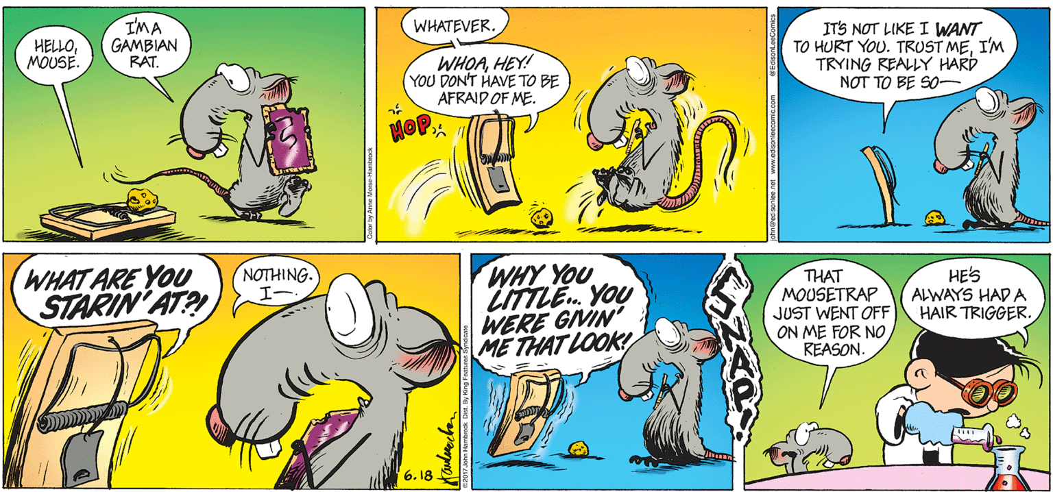Mammal OCR: I'MA GAMBIAN RAT. WHATEVER. ITS NOT LIKE I WANT TO HURT YOU. TRUST MEI'M TRYING REALLY HARD NOT TO BE SO HELLOMOUSE. WHOAHEY! YOU DON'T HAVE TO BE AFRAID OF ME. HOP WHAT ARE YOU STARIN AT?! WHY YOU LITTLE. YOU WERE GIVIN ME THAT LOOK! NOTHING. THAT MOUSETRAP JUST WENT OFF ON ME FOR NO REASON. HE'S ALWAYS HAD A HAIR TRIGGER. 6. 18 Cow by Arne Moso Ha I'MA GAMBIAN RAT. WHATEVER. ITS NOT LIKE I WANT TO HURT YOU. TRUST MEI'M TRYING REALLY HARD NOT TO BE SO HELLOMOUSE. WHOAHEY! YOU DON'T HAVE TO BE AFRAID OF ME. HOP WHAT ARE YOU STARIN AT?! WHY YOU LITTLE. YOU WERE GIVIN ME THAT LOOK! NOTHING. THAT MOUSETRAP JUST WENT OFF ON ME FOR NO REASON. HE'S ALWAYS HAD A HAIR TRIGGER. 6. 18 Cow by Arne Moso Ha
