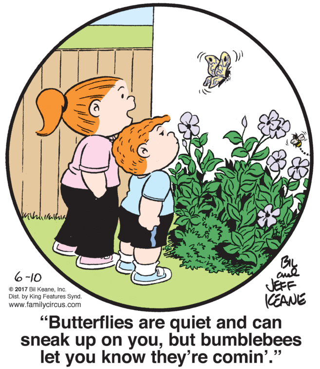 Grass OCR: BIL Ol-9 © 2017 Bil KeaneInc. JEFF KEANE "Butterflies are quiet and can sneak up on youbut bumblebees let you know they're comin'." Dist. by King Features Synd. www.familycircus.com BIL Ol-9 © 2017 Bil KeaneInc. JEFF KEANE "Butterflies are quiet and can sneak up on youbut bumblebees let you know they're comin'." Dist. by King Features Synd. www.familycircus.com