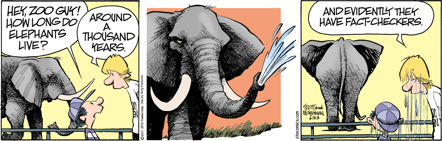 Art OCR: HEYZOO GUK! HOW LONG DO ELEPHANTS LIVE? ANDEVIDENTT THEY HAVE FACT-CHECKERS. AROUND A THOUSAND KEARS. BRAMAN 6/23 HEYZOO GUK! HOW LONG DO ELEPHANTS LIVE? ANDEVIDENTT THEY HAVE FACT-CHECKERS. AROUND A THOUSAND KEARS. BRAMAN 6/23