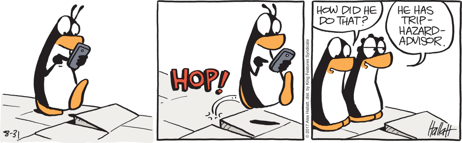 Water bird OCR: HE HAS TRIP- HAZARD- ADVISOR. HOW DID HE DO THAT? HOP! 8-31 HE HAS TRIP- HAZARD- ADVISOR. HOW DID HE DO THAT? HOP! 8-31