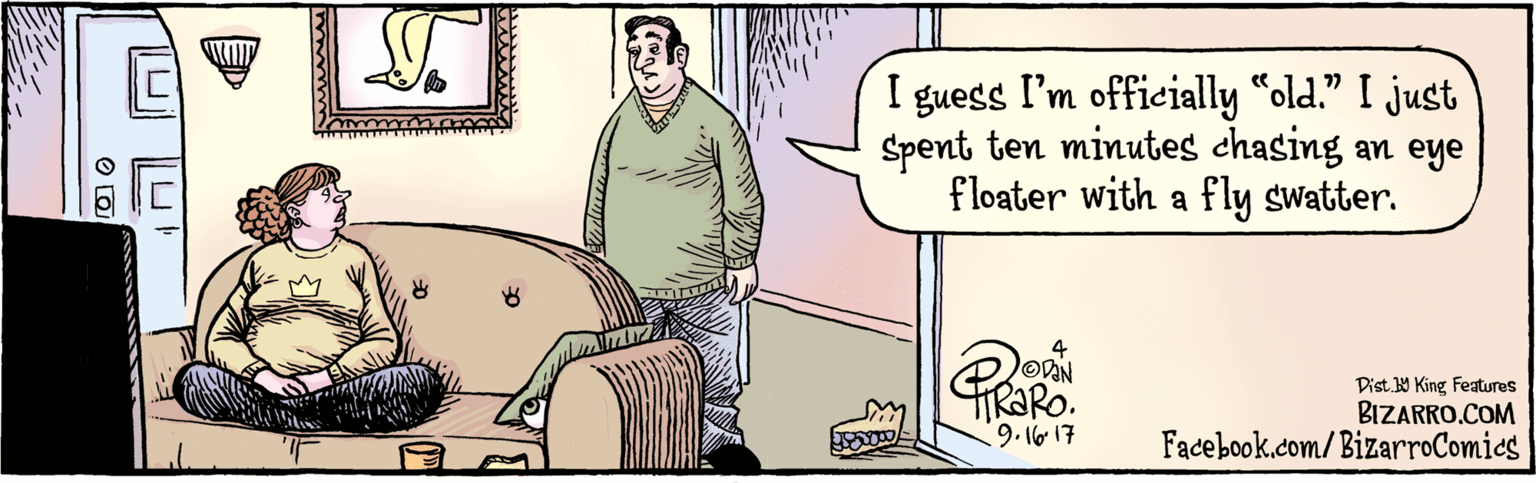 Art OCR: BIZARRO.COM Facebook.com/BizarroComics Dist. 9 King features guess I'm officially "old." I just Spent ten minutes chasing an eye floater with a fly swatter. 4 OAN 9.16-17 EAENIN BIZARRO.COM Facebook.com/BizarroComics Dist. 9 King features guess I'm officially "old." I just Spent ten minutes chasing an eye floater with a fly swatter. 4 OAN 9.16-17 EAENIN