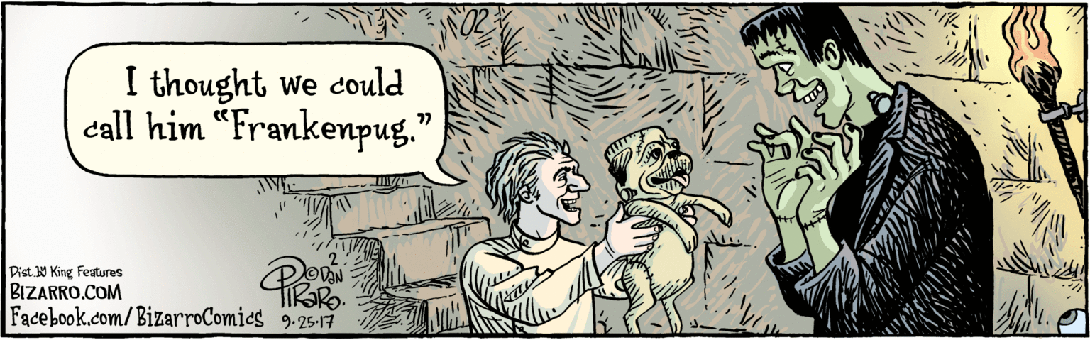 Sharing OCR: BIZARRO.COM Facebook.com/BizarroComies Dist Y King Fatures I thought we could call him "Frankenpug." 77 OVON 9 25 17 VIE BIZARRO.COM Facebook.com/BizarroComies Dist Y King Fatures I thought we could call him "Frankenpug." 77 OVON 9 25 17 VIE