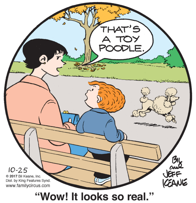 Comfort OCR: THAT'S A TOY POODLE10-25 © 2017 Bil KeaneInc. Dist. by King Features Synd. www.familycircus.com JEFF KEANE "Wow! It looks so real." THAT'S A TOY POODLE10-25 © 2017 Bil KeaneInc. Dist. by King Features Synd. www.familycircus.com JEFF KEANE "Wow! It looks so real."