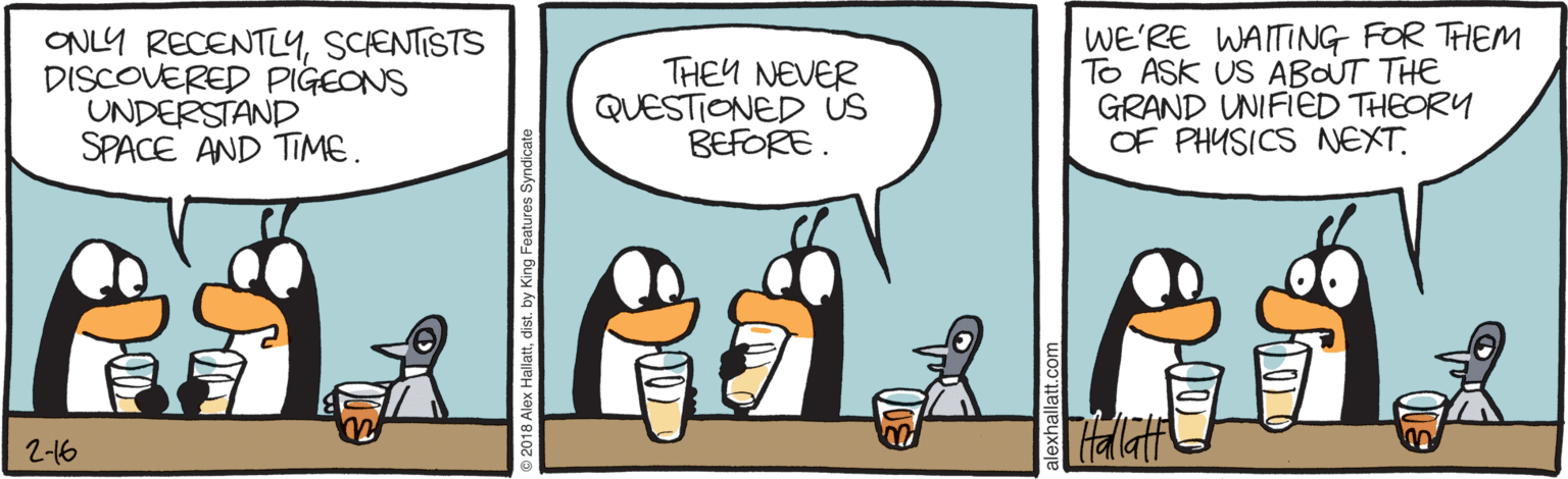 Animated cartoon OCR: ONLY RECENTLYSCENTISTS DISCOVERED PIGEONS UNDERSTAND SPACE AND TIME. THEY NEVER QUESTIONED US BEFORE. WE'RE WAITING FOR THIEM To ASK US ABOUT THE GRAND UNIFIED THEORY OF PHYSICS NEXT. THalat 2-16 ONLY RECENTLYSCENTISTS DISCOVERED PIGEONS UNDERSTAND SPACE AND TIME. THEY NEVER QUESTIONED US BEFORE. WE'RE WAITING FOR THIEM To ASK US ABOUT THE GRAND UNIFIED THEORY OF PHYSICS NEXT. THalat 2-16
