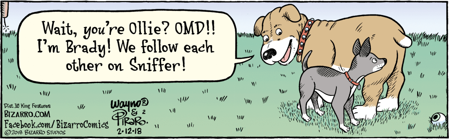 Rectangle OCR: BIZARRO.COM © 2018 BIZARRO STUDIOS Facebook.com/BizarroComics Dist Y King Features Waityou're 0llie? 0MD!! I'm Brady! We follow each other on Sniffer! Waynos '& 2 TIRORO. 2.12-18 BIZARRO.COM © 2018 BIZARRO STUDIOS Facebook.com/BizarroComics Dist Y King Features Waityou're 0llie? 0MD!! I'm Brady! We follow each other on Sniffer! Waynos '& 2 TIRORO. 2.12-18