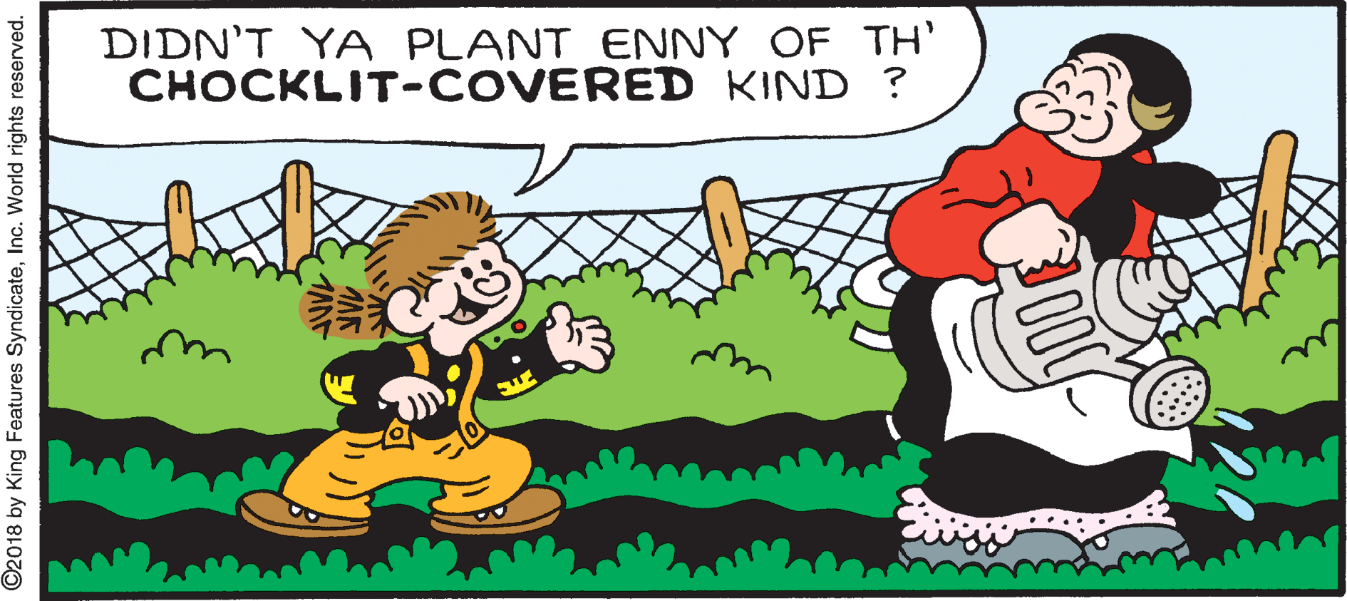 Adaptation OCR: DIDN'T YA PLANT ENNY OF TH' CHOCKLIT-COVERED KIND ? ©2018 by King Features SyndicateInc. World rights reserved. DIDN'T YA PLANT ENNY OF TH' CHOCKLIT-COVERED KIND ? ©2018 by King Features SyndicateInc. World rights reserved.