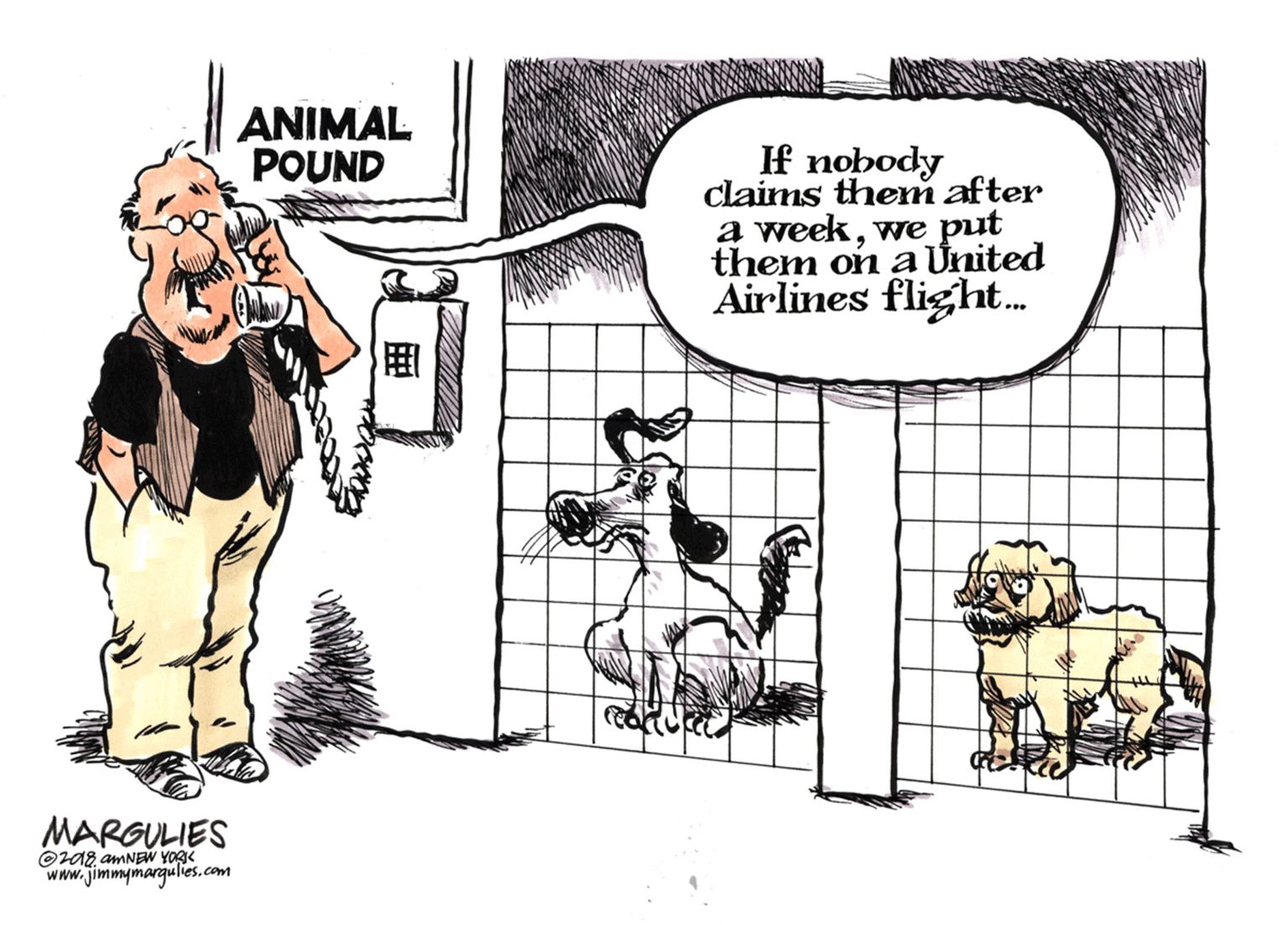 Comics OCR: ANIMAL POUND If nobody Claims them after a weekwe put them on a United Airlines flight. MARGULIES www.jimmymargulies.com ANIMAL POUND If nobody Claims them after a weekwe put them on a United Airlines flight. MARGULIES www.jimmymargulies.com