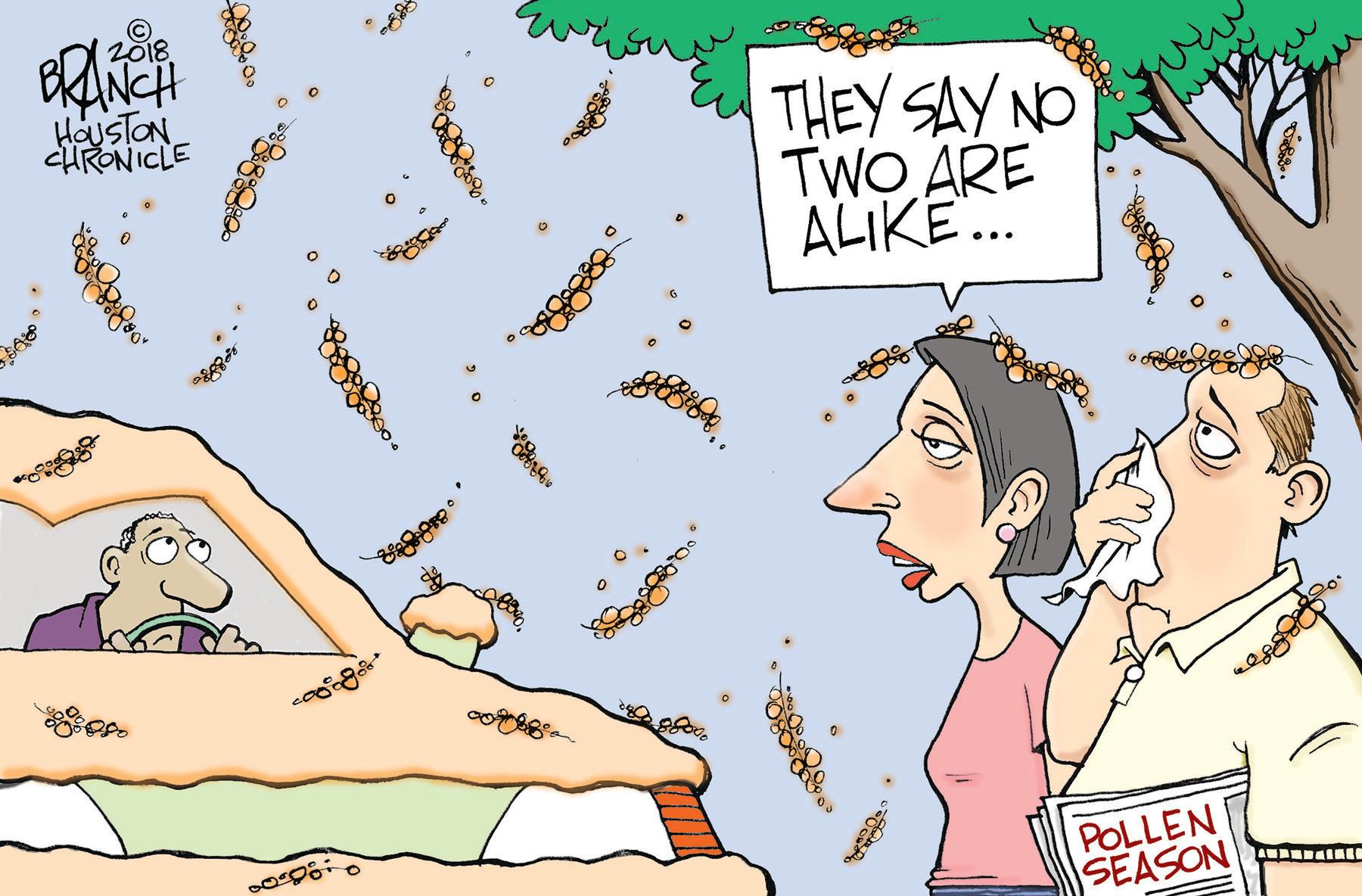 Drawing OCR: 2018 EANCH HousTON CHRONICLE THEY SAY NO TWO ARE ALIKE. POLLEN SEASON 2018 EANCH HousTON CHRONICLE THEY SAY NO TWO ARE ALIKE. POLLEN SEASON