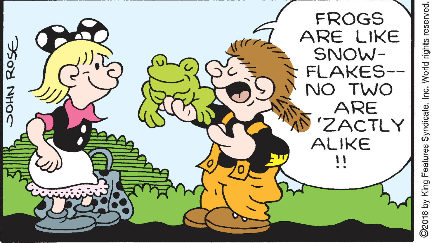 Mammal OCR: FROGS ARE LIKE SNOW- FLAKES-- NO TWO ARE (ZACTLY ALIKE !! SOHN ROSE ©2018 by King Features SyndicateInc. World rights reserved. FROGS ARE LIKE SNOW- FLAKES-- NO TWO ARE (ZACTLY ALIKE !! SOHN ROSE ©2018 by King Features SyndicateInc. World rights reserved.